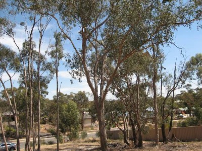 BENDIGO'S BEST BLOCK! Picture