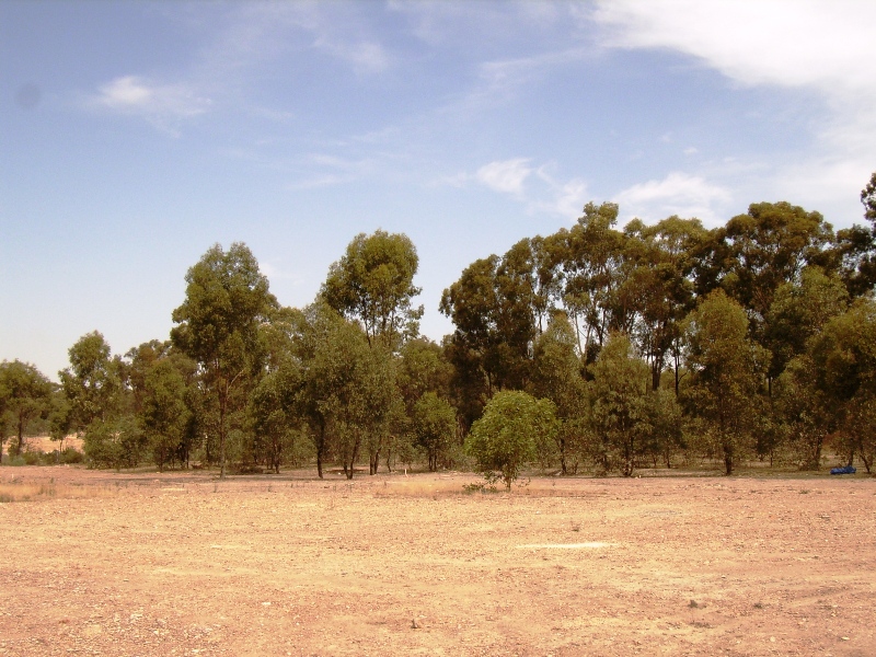 JUNORTOUN LAND Picture 3