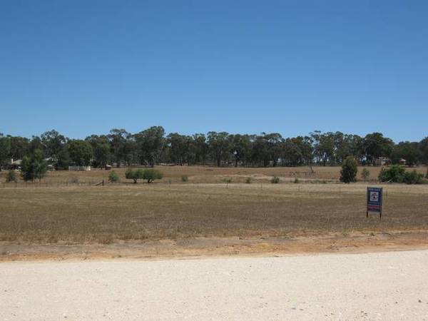 LIFESTYLE BLOCK Picture