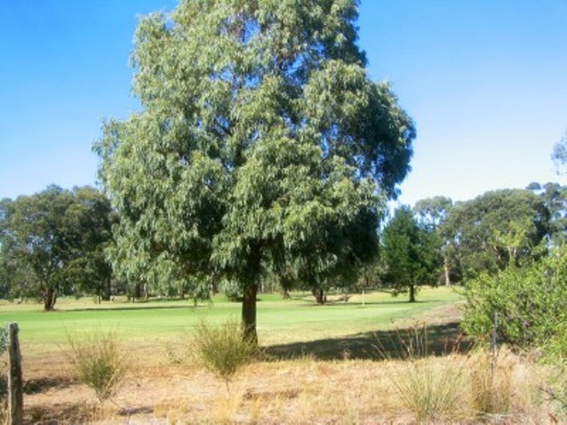 SYMBESTER LINKS ESTATE - LAND - EAGLEHAWK Picture 2