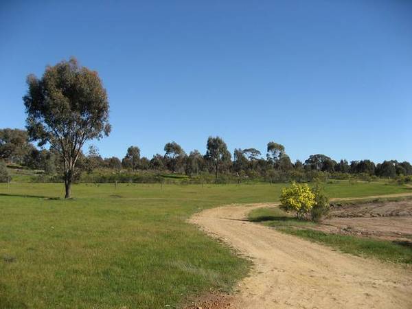 STRATHFIELDSAYE - LAND Picture 3