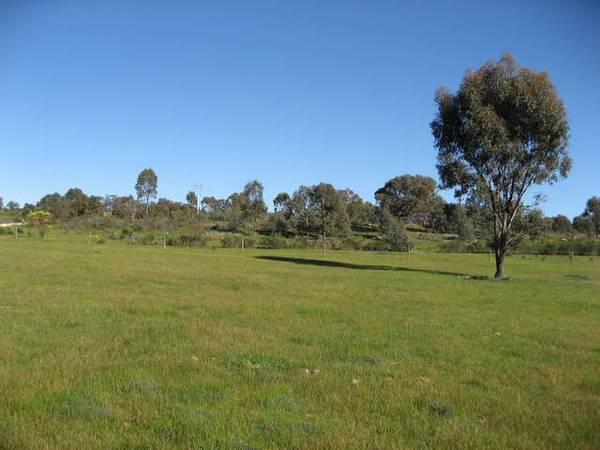 STRATHFIELDSAYE - LAND Picture 2