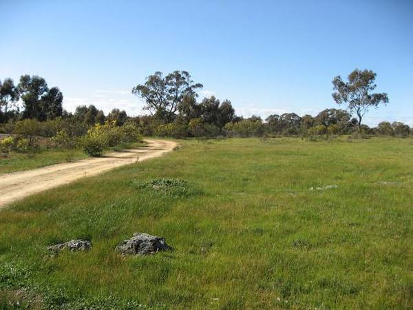 STRATHFIELDSAYE - LAND Picture 1