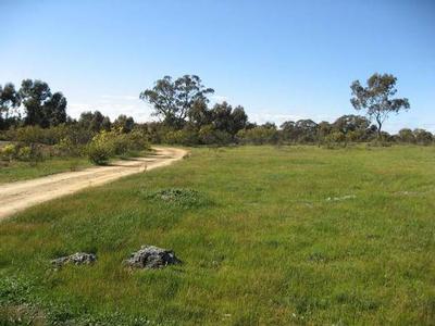 STRATHFIELDSAYE - LAND Picture