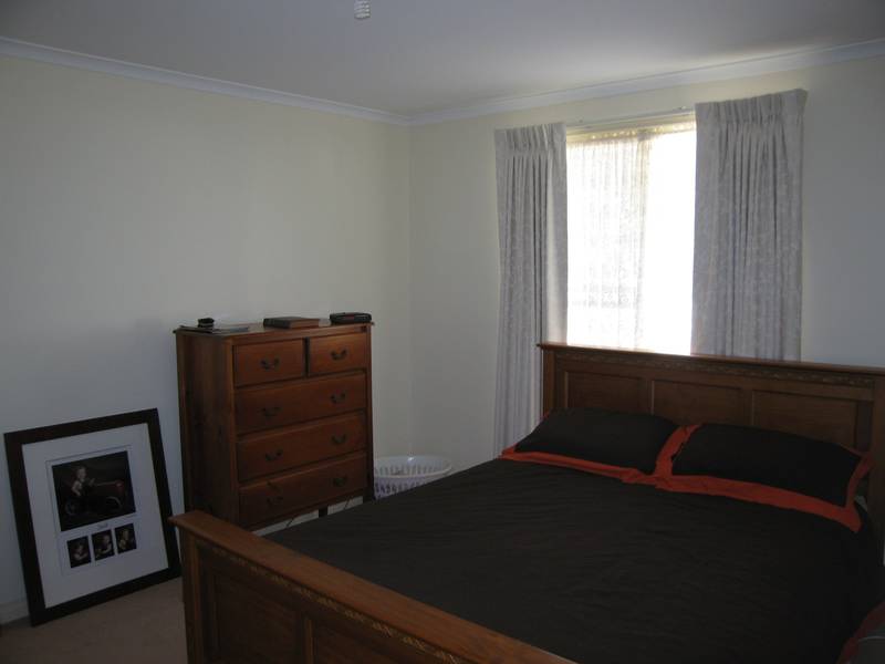 YOU WONT FIND BETTER! Picture