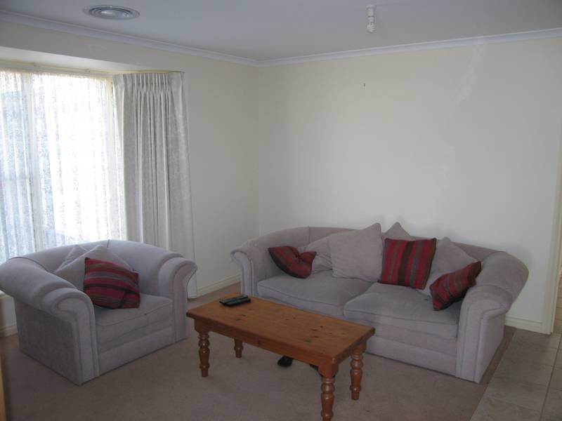 YOU WONT FIND BETTER! Picture