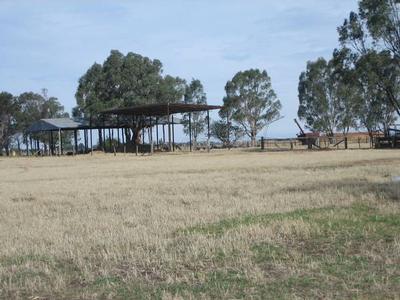 LIFESTYLE / GRAZING BLOCK Picture