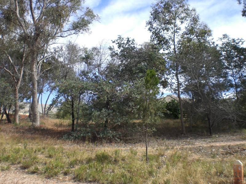 SPRING GULLY LAND Picture 1