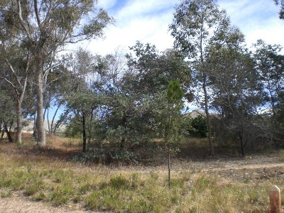 SPRING GULLY LAND Picture SPRING GULLY LAND Picture