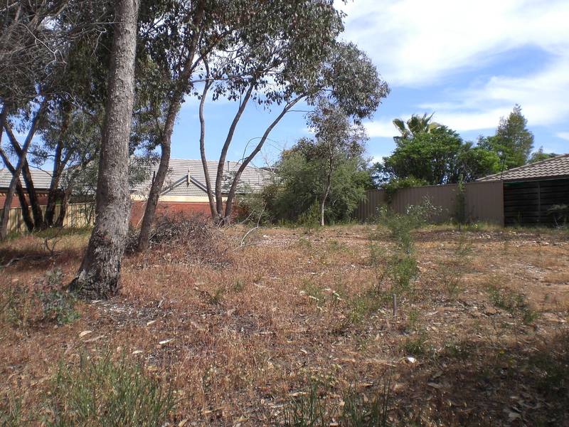 SPRING GULLY LAND Picture 3