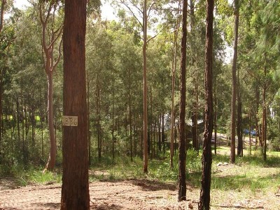 INVEST NOW FOR THE FUTURE Picture