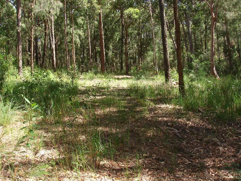 INVEST NOW FOR THE FUTURE Picture 2