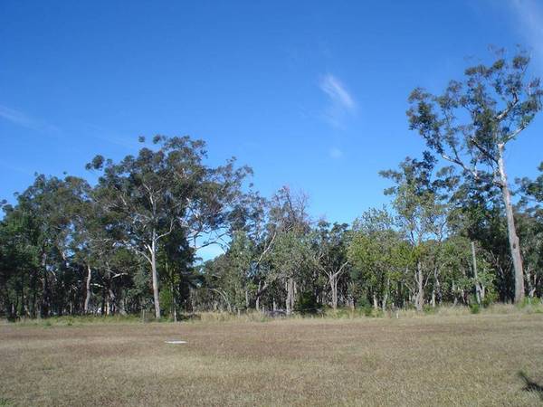 TEA AGRDENS LAKES ESTATE Picture 2