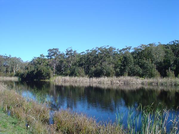 TEA GARDENS LAKES ESTATE Picture 3