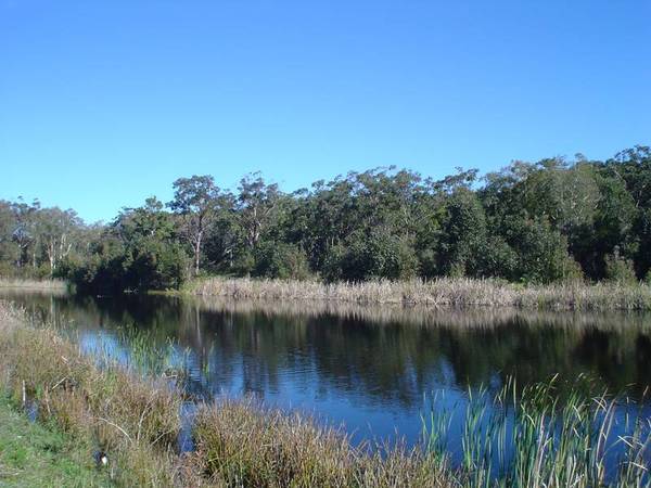 TEA GARDENS LAKES ESTATE Picture 3