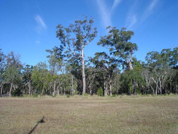 TEA GARDENS LAKES ESTATE Picture 2