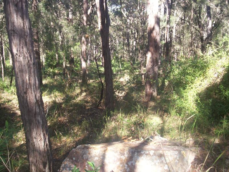 LONG TERM INVESTMENT - CAMP IMMEDIATLEY Picture 1