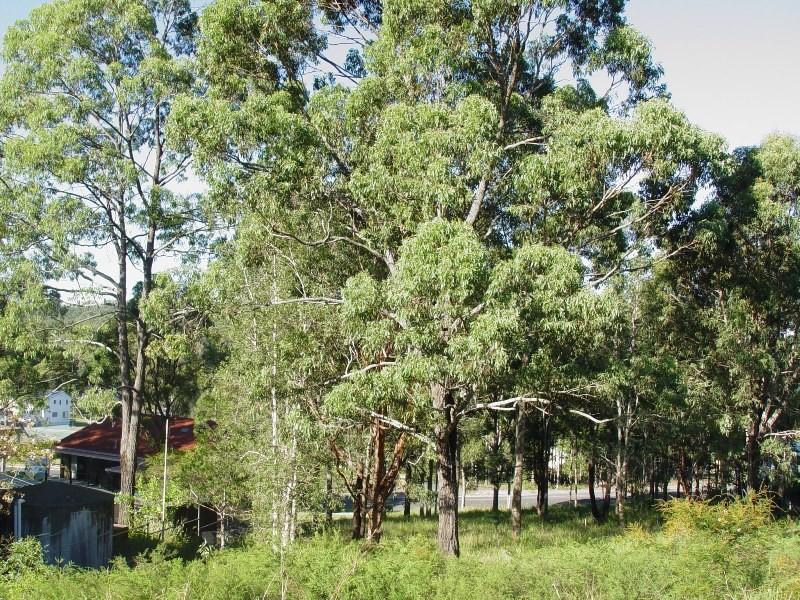 TRANQUIL VILLAGE ATMOSPHERE Picture 1