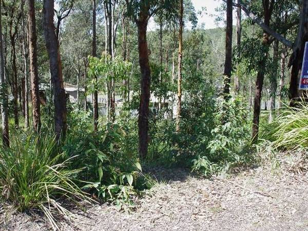 Tranquility by the River Picture 2