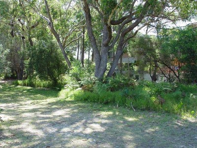 VACANT LAND IN THE MAGIC SQUARE! Picture