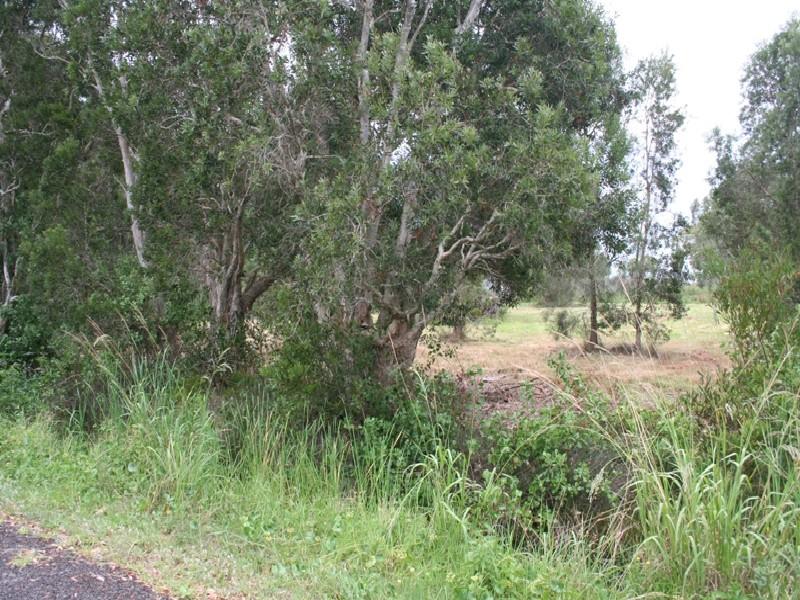 DEVELOPER NEEDED NOW! Picture 1