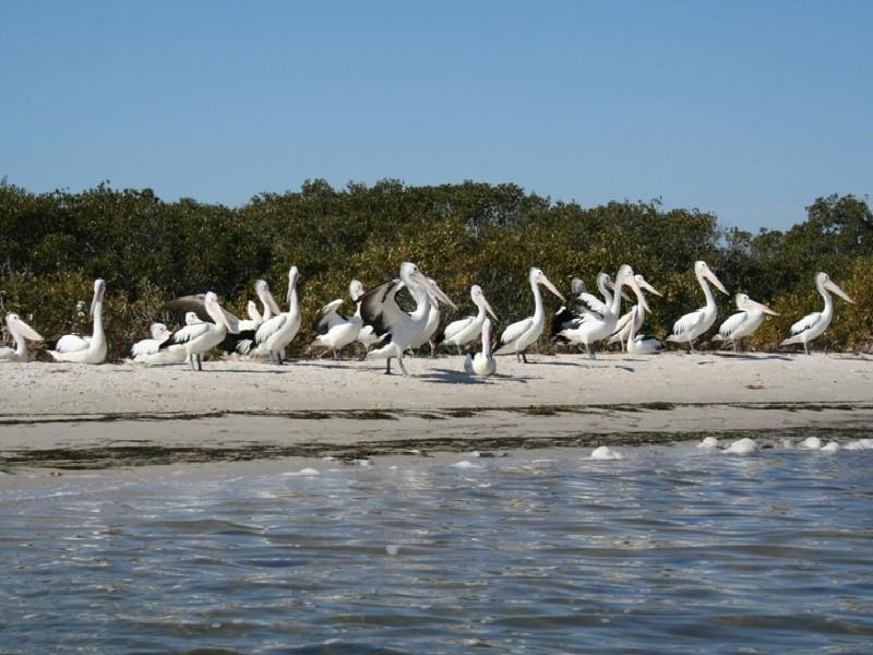 RENT OUT OR REDEVELOP! Picture 3