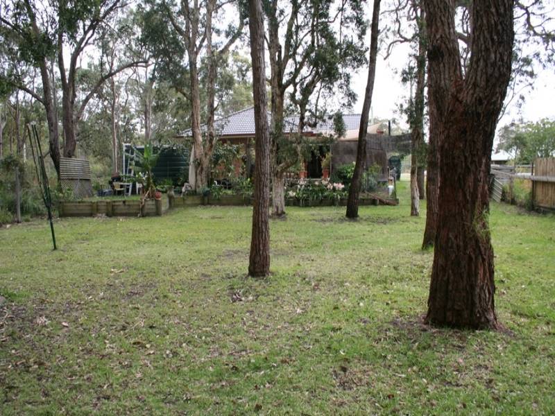 PARADISE IN PORT STEPHENS Picture 3