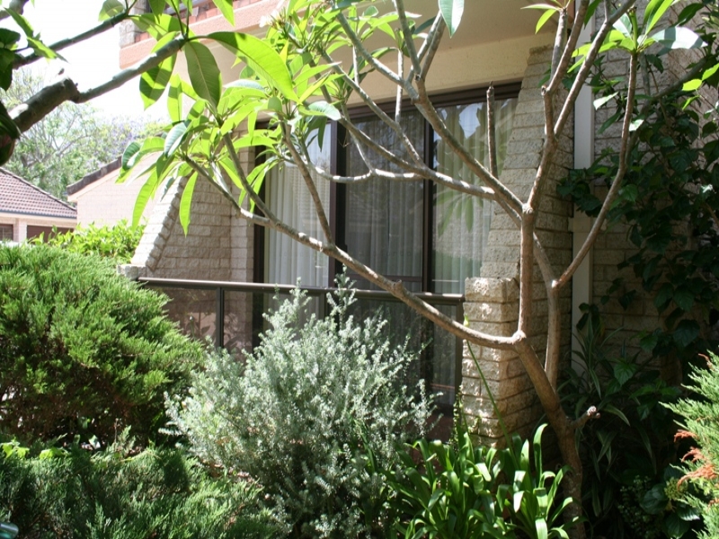 Beautifully Presented and Unique Waterfront Home Picture 3