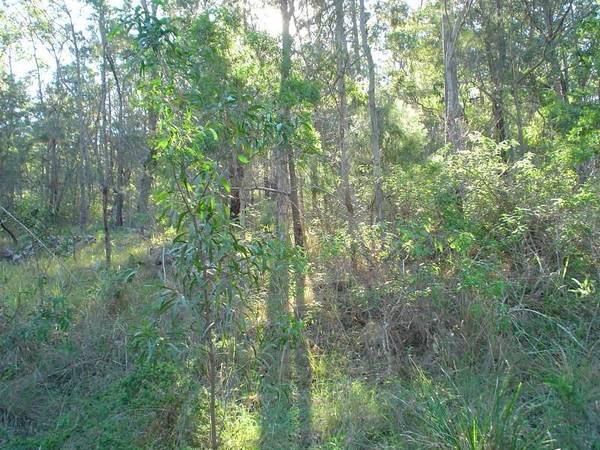 ITS ALL ABOUT THE VIEW Picture 3