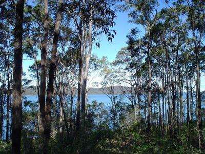 ITS ALL ABOUT THE VIEW Picture ITS ALL ABOUT THE VIEW Picture