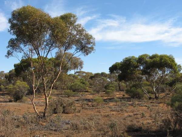 Nature at its Best Picture 1