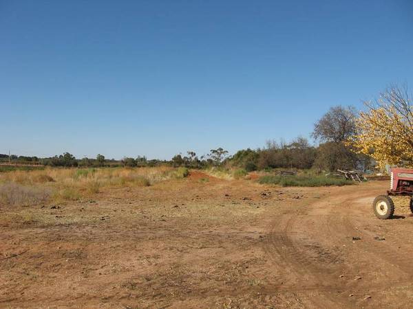 Cash Crop? Income Picture 2