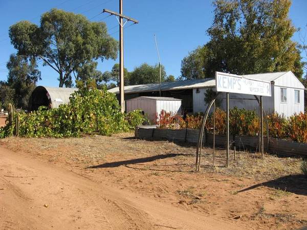 Cash Crop? Income Picture 1