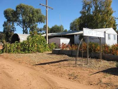 Cash Crop? Income Picture Cash Crop? Income Picture