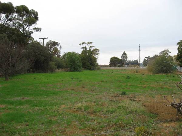 Just for You .. With a View Picture 2