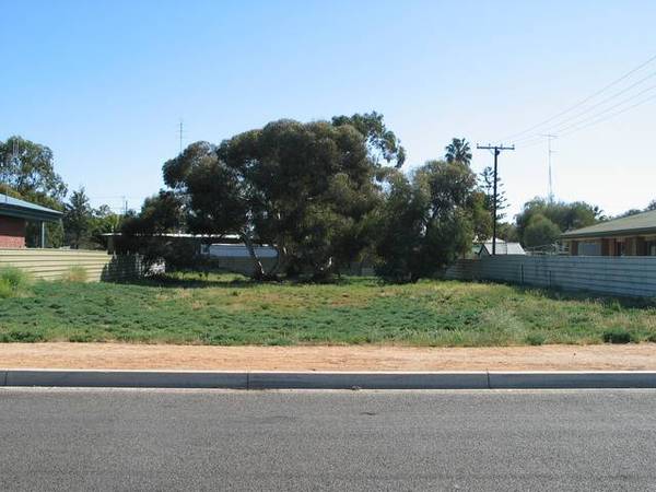 No Hussle, No Bustle Picture 3