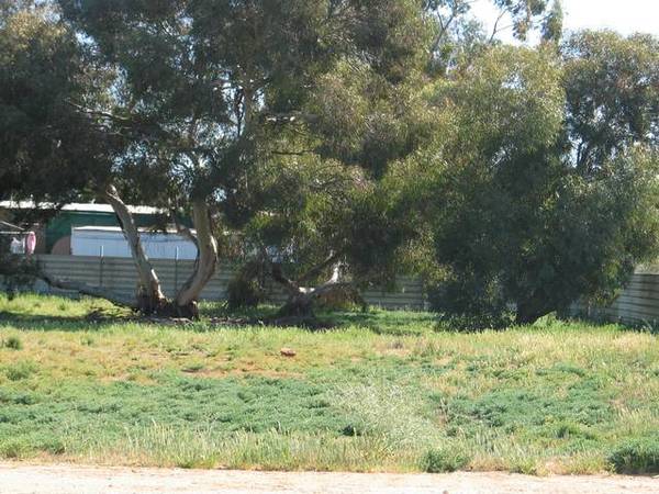 No Hussle, No Bustle Picture 1