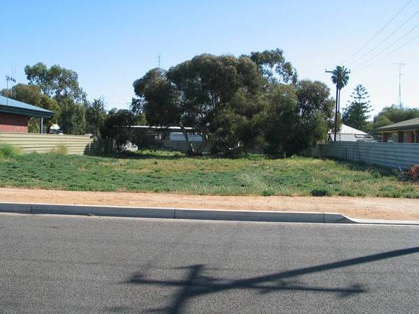 No Hussle, No Bustle Picture 2