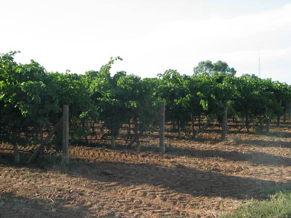 CCW, HOUSE, PLANT & EQUIPMENT Picture 2