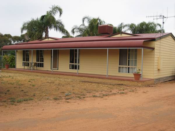 GORGEOUS SCRUB Picture 1