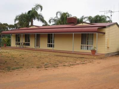 GORGEOUS SCRUB Picture GORGEOUS SCRUB Picture