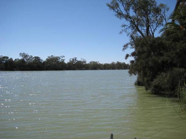 SKI, FISH OR SWIM Picture 3