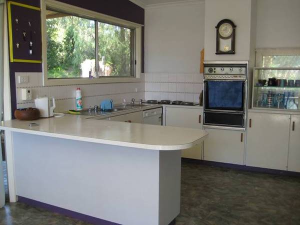 SKI, FISH OR SWIM Picture 2