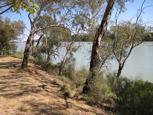 SKI, FISH OR SWIM Picture 1