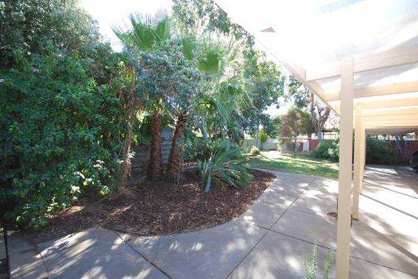 3 BEDROOMS + STUDY - UPDATED KITCH & BATHROOM Picture 3