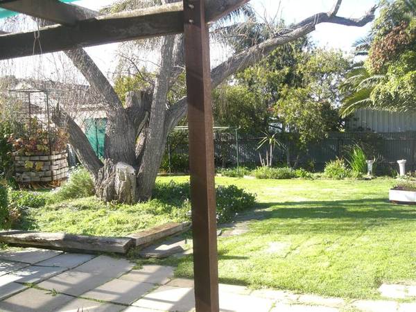 A Renovation Rescue or
Build New Picture 2