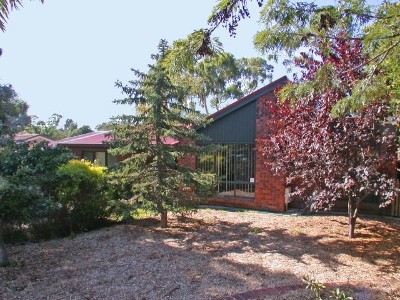 Polish This Diamond And Bring Back The Sparkle Picture