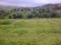 RARE VACANT LAND - 800 m2 - SEMI RURAL LOCATION - LOVELY VIEWS Picture