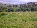 RARE VACANT LAND - 800 m2 - SEMI RURAL LOCATION - LOVELY VIEWS Picture RARE VACANT LAND - 800 m2 - SEMI RURAL LOCATION - LOVELY VIEWS Picture