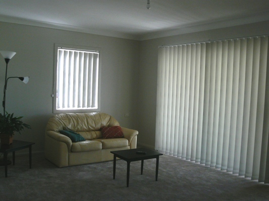 WHAT A BARGAIN Picture 3